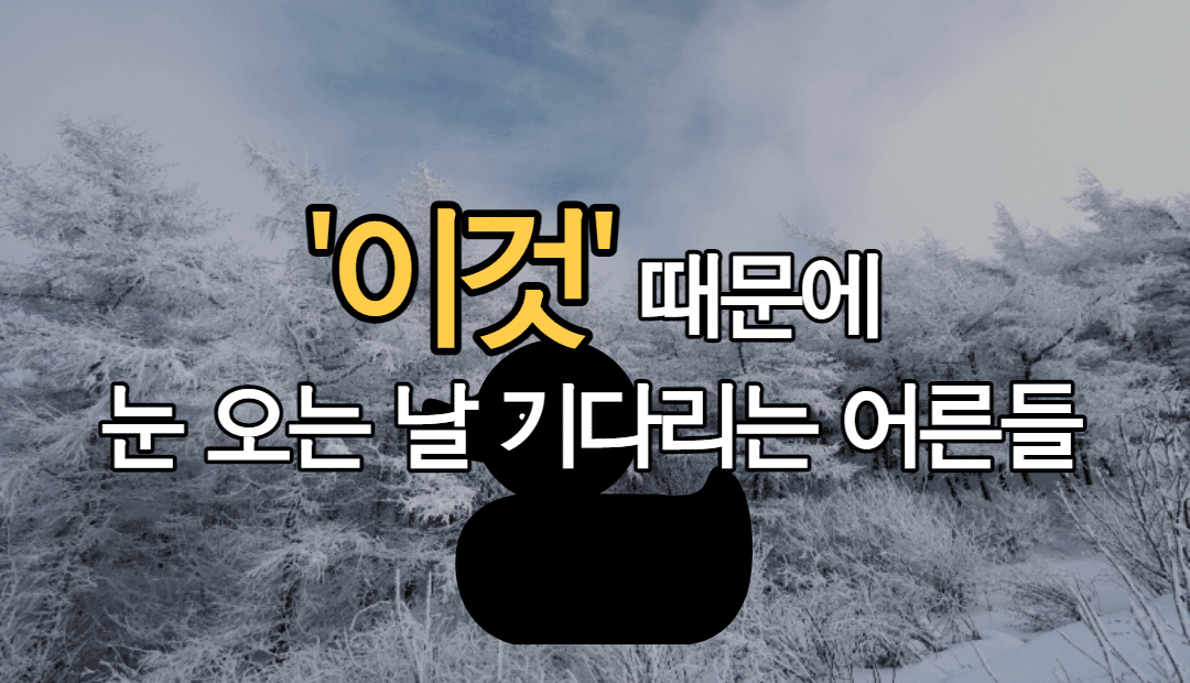 오리 집게 때문에 눈 오는 날 기다리는 어른들