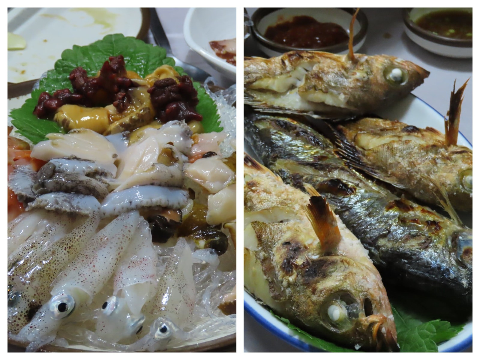 통영의 겨울은 그 맛이 절정이다