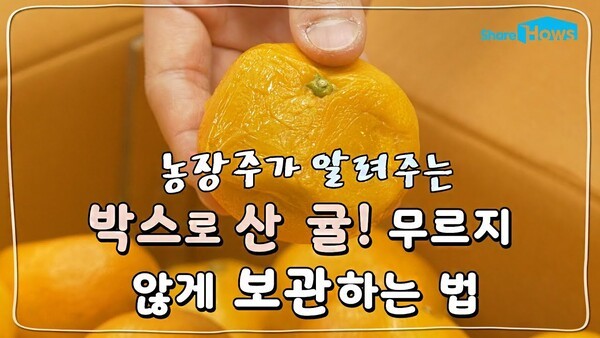 농장주가 알려주는 귤 보관법, 박스로 산 귤!! 무르지 않게 보관하는 방법