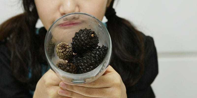 친환경 솔방울 가습기 만들기