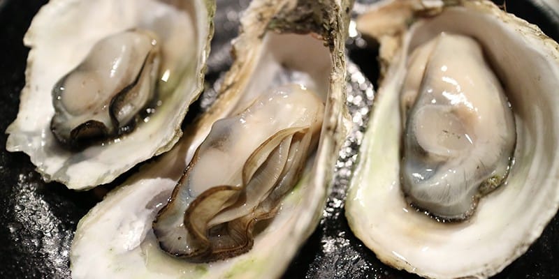 제철 재료 정복기 [1월-굴 편]