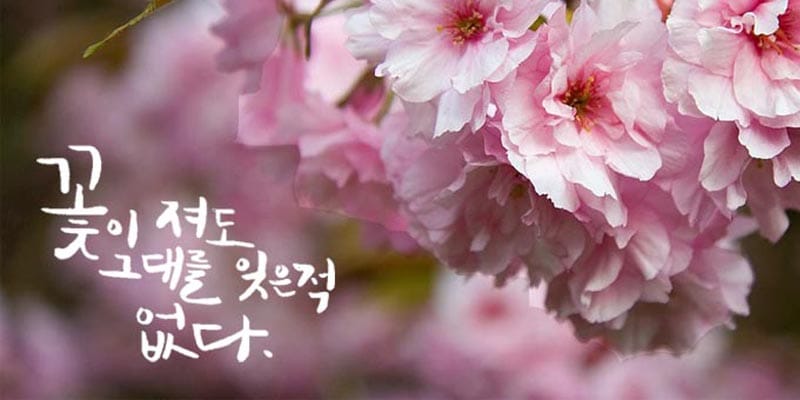 새해엔 이색 취미를! ② 취미로 캘리그라피 시작하기
