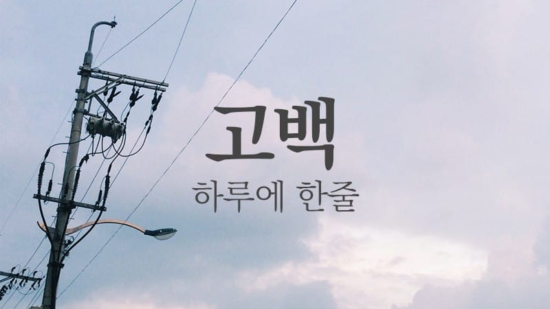 하루에 한줄 _ 고정희 '고백'