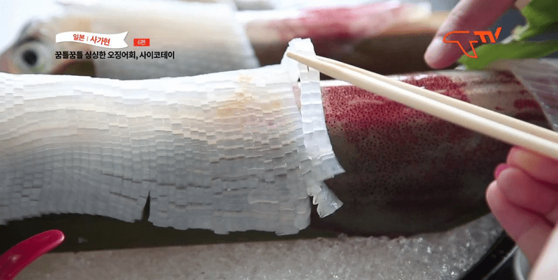 [일본 사가현 여행] 후루유 온천가와 오징어 명가 사이코테이