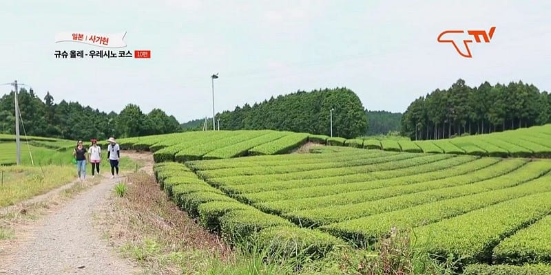 [일본 사가현 여행] 규슈 올레 완전 정복!