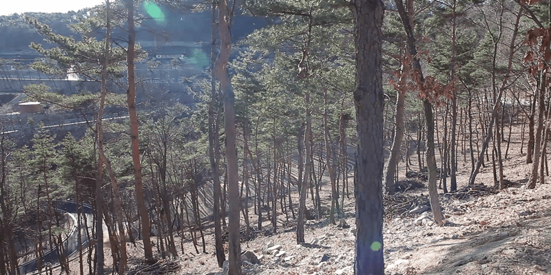 일상이 스트레스!! 속리산으로 가서 힐링받자!!