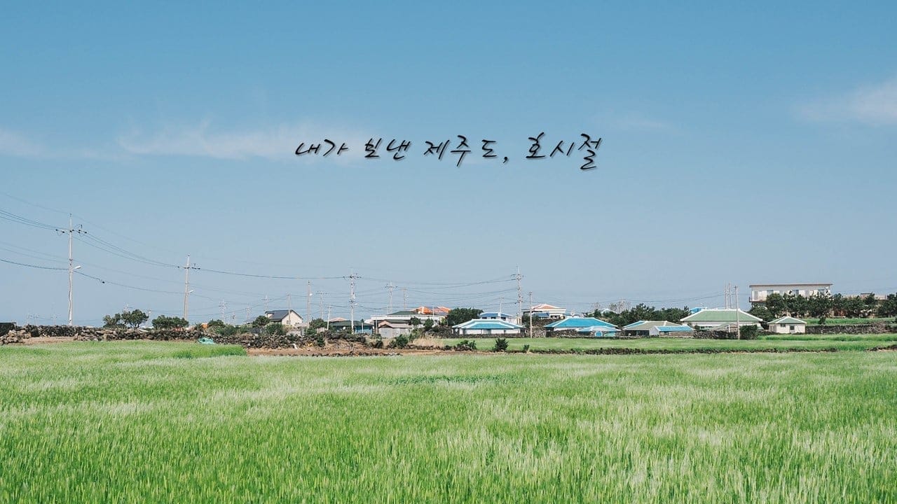 내가 보낸 제주도, 호시절