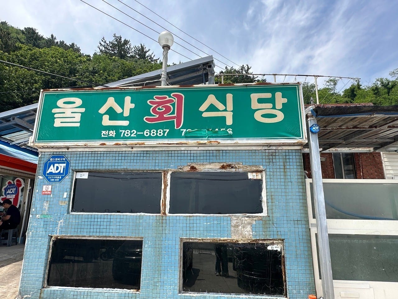 그...울진에서는 자연산 모둠회를 잡어회라고 부르나? 울산회식당