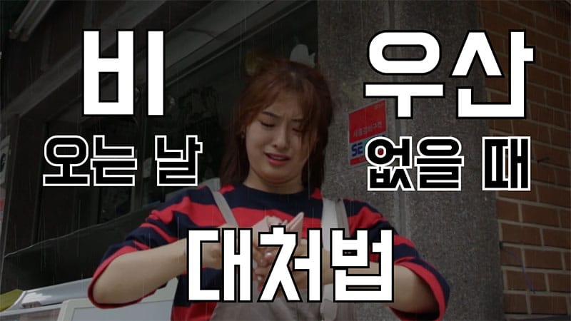 장마철 꿀팁! 비 오는 날 우산 없을 때 대처법