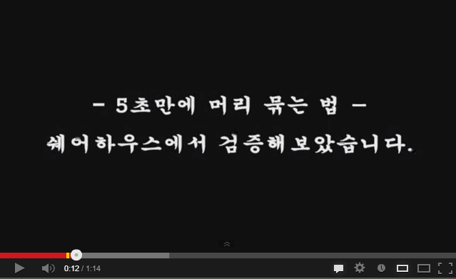 5초 만에 머리 묶는 법 검증 글 대표 이미지