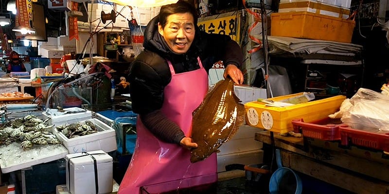 노량진 상인이 알려주는 '광어' 정보 글 대표 이미지