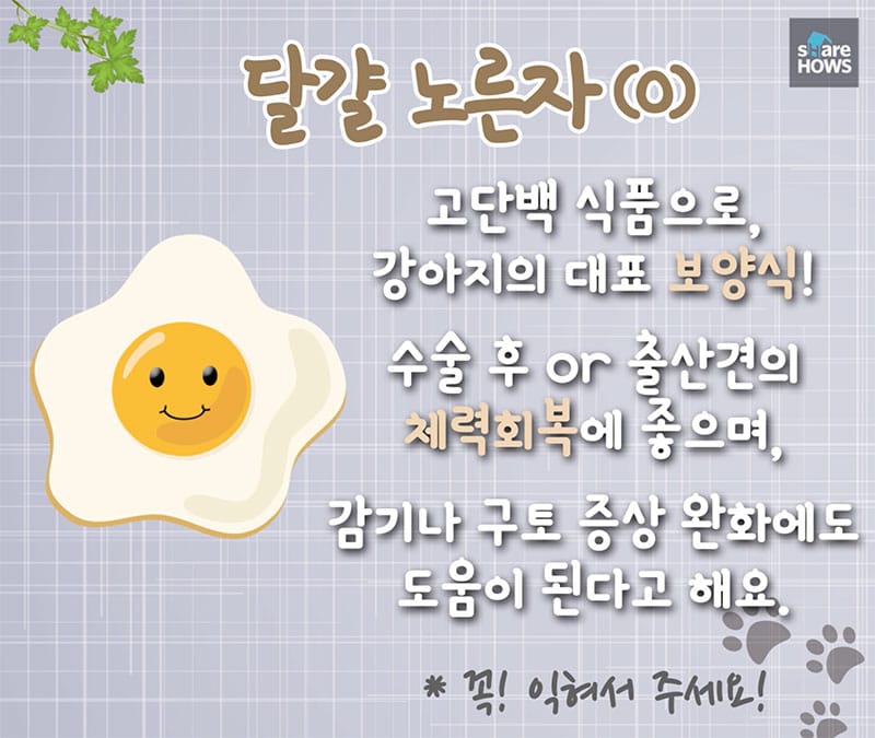 강아지에게 나쁜 음식 & 좋은 음식 글 대표 이미지