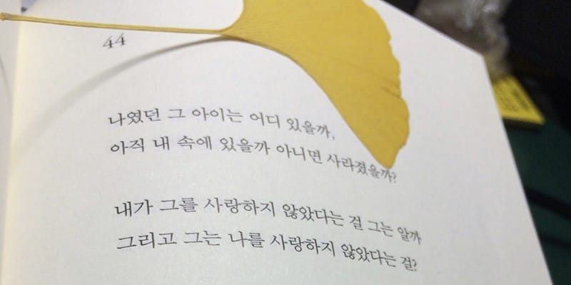 책 오래 보관하는 방법 글 대표 이미지
