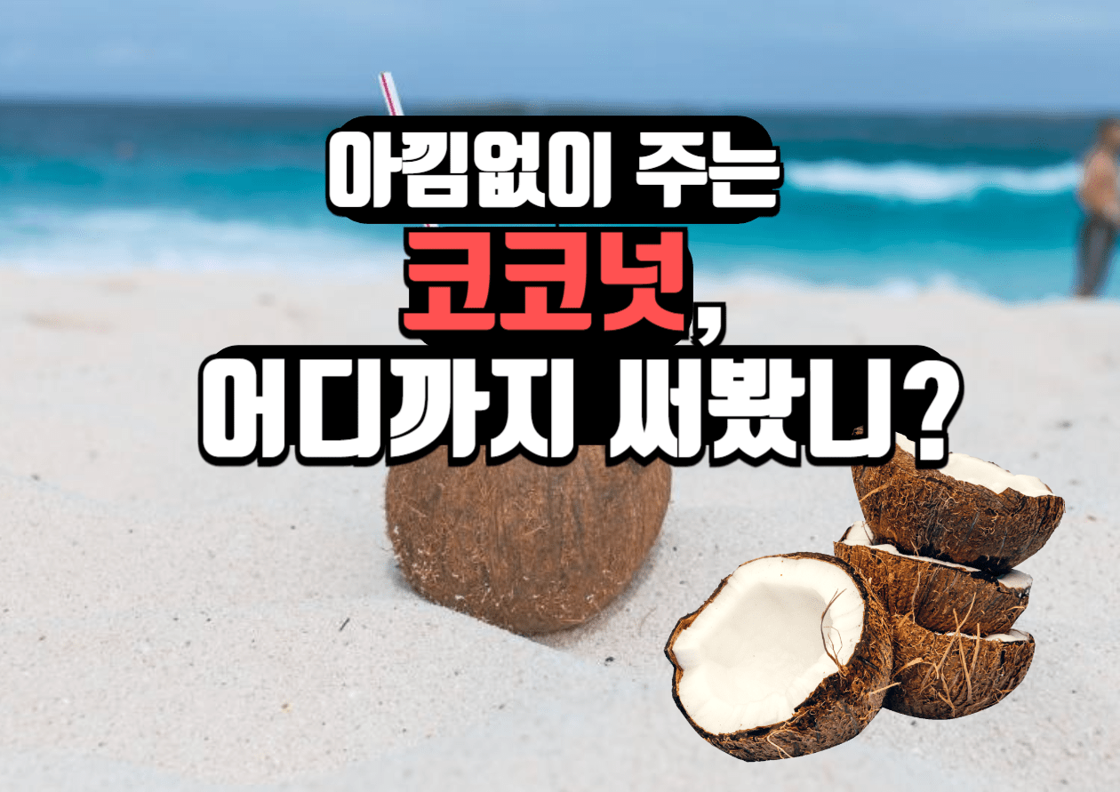 코코넛이 우리 몸에 좋은 4가지 이유와 이색 레시피 글 대표 이미지