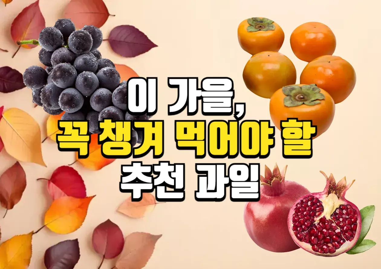 이 가을, 꼭 챙겨 먹어야 할 추천 과일 글 대표 이미지