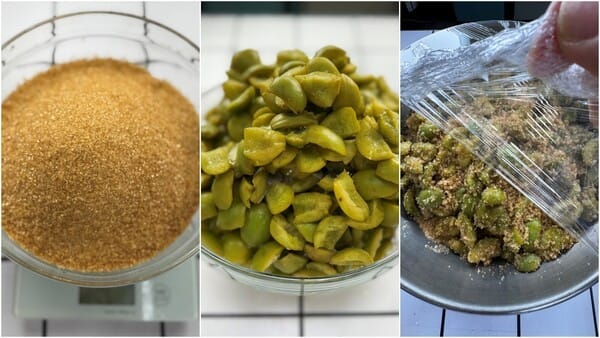 초보도 실패 없는 매실청 장아찌 만드는 법 글 대표 이미지