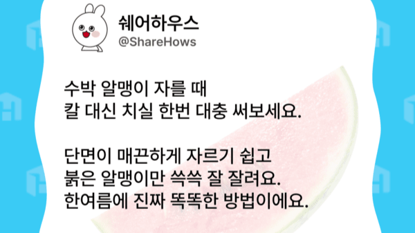 수박 자를 땐 치실 #별별팁 글 대표 이미지