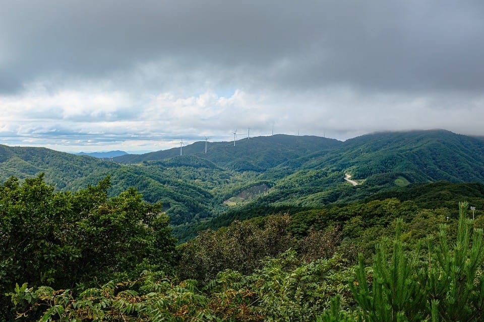 여름 산행 시 주의점 글 이미지