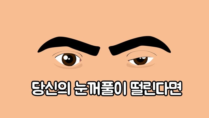 당신의 눈꺼풀이 떨린다면 글 이미지