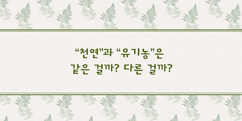 천연과 유기농은 같은 걸까? 다른 걸까? 글 이미지