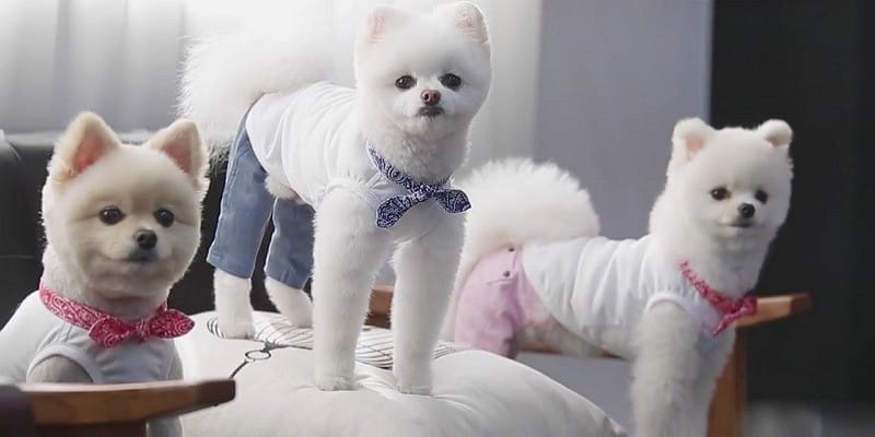 [11월 디자이너]  SDplain(에스디플레인) _ 최수진 글 이미지