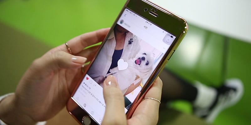 인스타그램 염탐하다 좋아요 눌렀을 때 대처법 글 이미지
