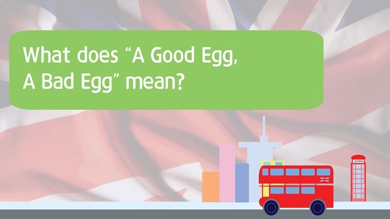 "A GOOD EGG / BAD EGG", 좋은 계란, 나쁜 달걀? 글 이미지