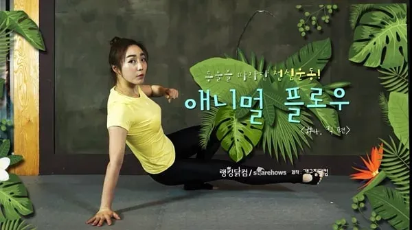 동물을 따라한 전신운동! 애니멀 플로우 킥!!!(with 김효라) 글 이미지