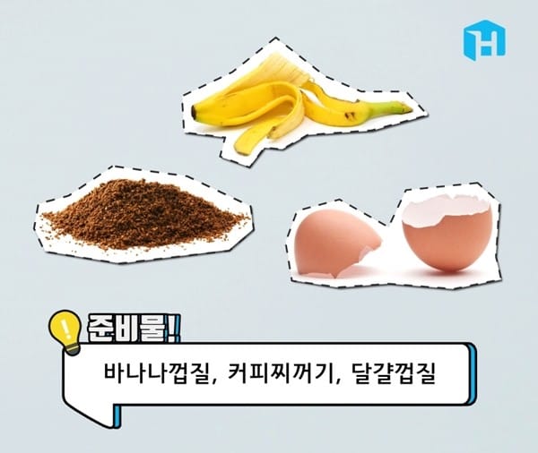 음식물 쓰레기로 천연비료 만드는 방법 글 이미지