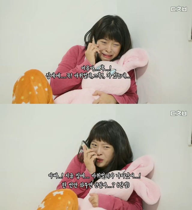 으악 극혐! 바퀴벌레 나왔을 때 대처법 글 이미지