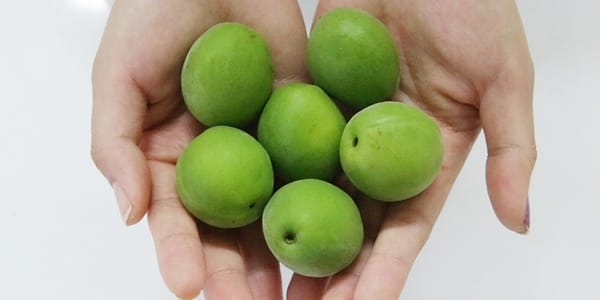 씨 발라내기 힘들었다면? 집게 하나로 끝! 매실 쉽게 까는 법