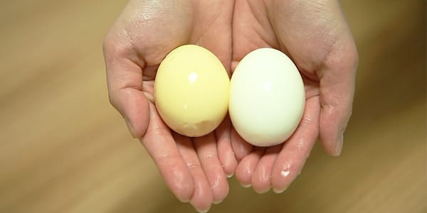이색 계란 '골든 에그' 만들기