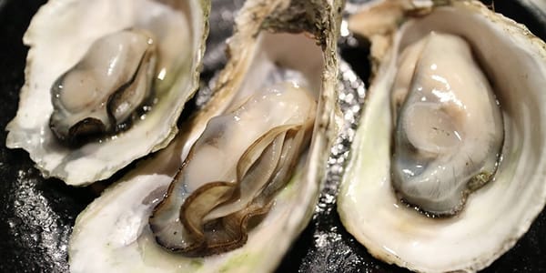 제철 재료 정복기 [1월-굴 편]