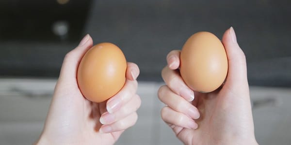 신선한 계란 구별하는 방법