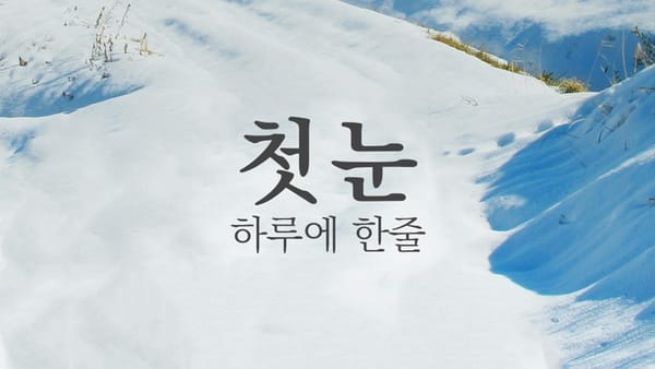 하루에 한줄 _ 고종만 '첫 눈'