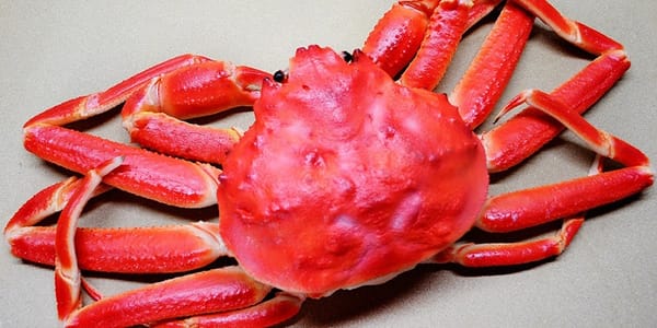 제철 재료 정복기, 매력만땅 제철 홍게 레시피