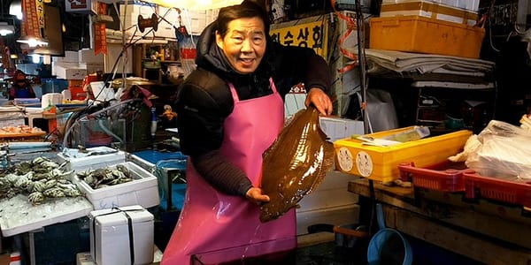 노량진 상인이 알려주는 '광어' 정보