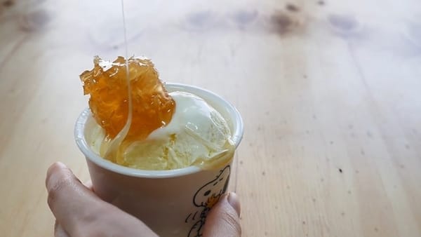 쫀득쫀득 달콤한 통꿀 아이스크림