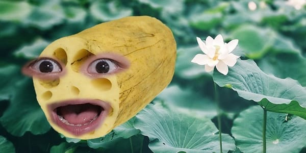 동생이 편식할 때 대처법