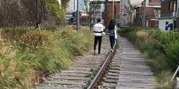 연인과 가기 좋은 잘생긴 서울의 이색 데이트 코스 5곳