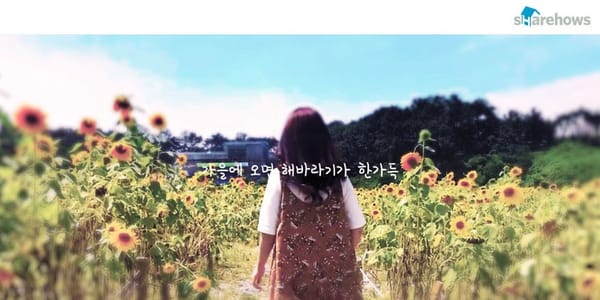 수원을 여행하다! 힐링하기 좋은 "카페거리"와 "호수공원"
