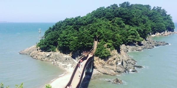 숲 속부터 바다까지 걷기 좋은 코스 BEST5
