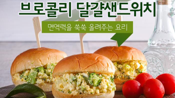 면역력을 올려주는 브로컬리 달걀샌드위치