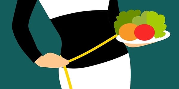 상체비만이 고민이라면 다이어트를 위해 섭취해야 할 5가지 음식
