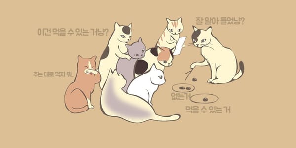 고양이에게 나쁜 음식&좋은 음식