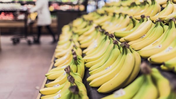 다크서클, 바나나 껍질로 없앨 수 있다?