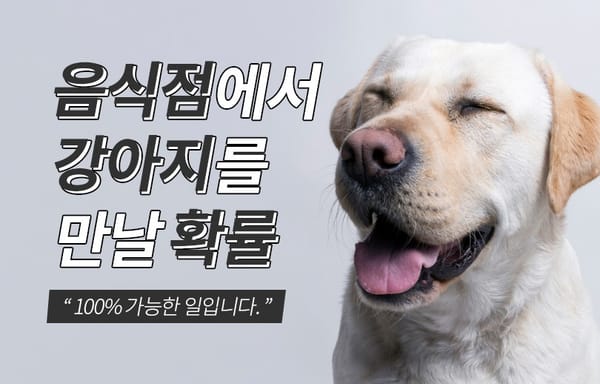식당에 강아지가 있다고 놀라지 마세요. 당신이 안내견을 만나면