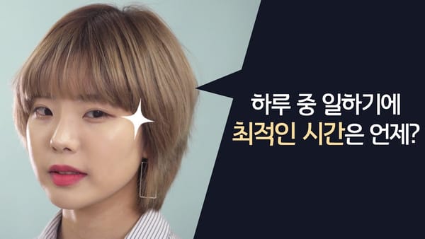 하루 중 일하기 최적의 시간은 언제일까?