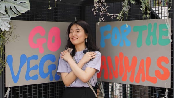 <청소년부터 노인까지, 모두가 안전하게 사랑할 수 있게> 밀레니얼 여성 창업가 인터뷰 - '인스팅터스' 박진아 공동 대표