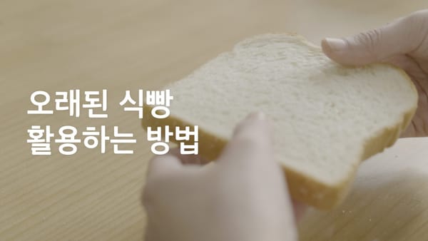 먹는 거 빼고 다 가능, 유통기한 지난 식빵 활용법 5가지 방법